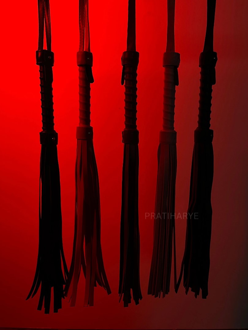 Premium High Quality Hunter/Whip Flogger alternate view